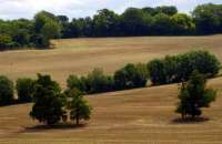 Kentish Farmland